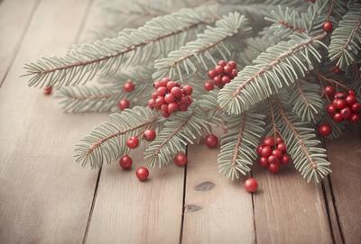 The primary subject of the image is a close-up of a pine tree with red berries on it. The tree is surrounded by green leaves, and the berries are scattered throughout the branches. The setting is a wooden surface, possibly a table or a floor, which provides a natural and rustic backdrop for the tree. The visual style of the image is a close-up, focusing on the details of the tree and its berries. The colors and mood of the image are warm and inviting, with the red